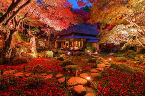 教林坊ライトアップ夜景／11月頃撮影）